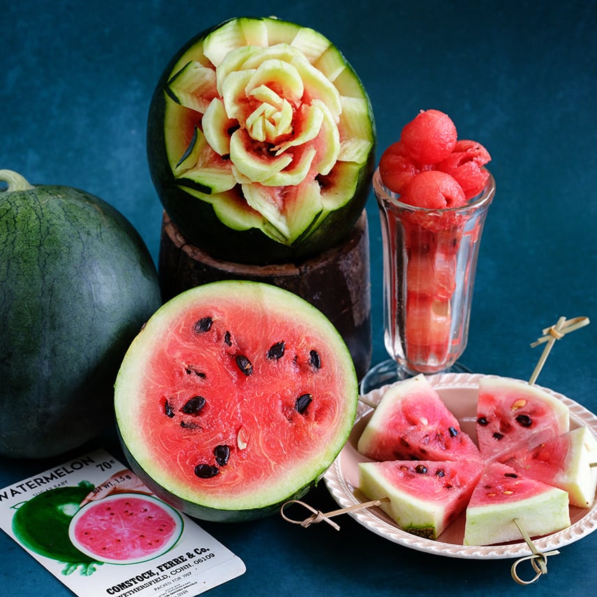A carved Sugar Baby Bush Watermelon with slices and melon balls on a dark blue background.