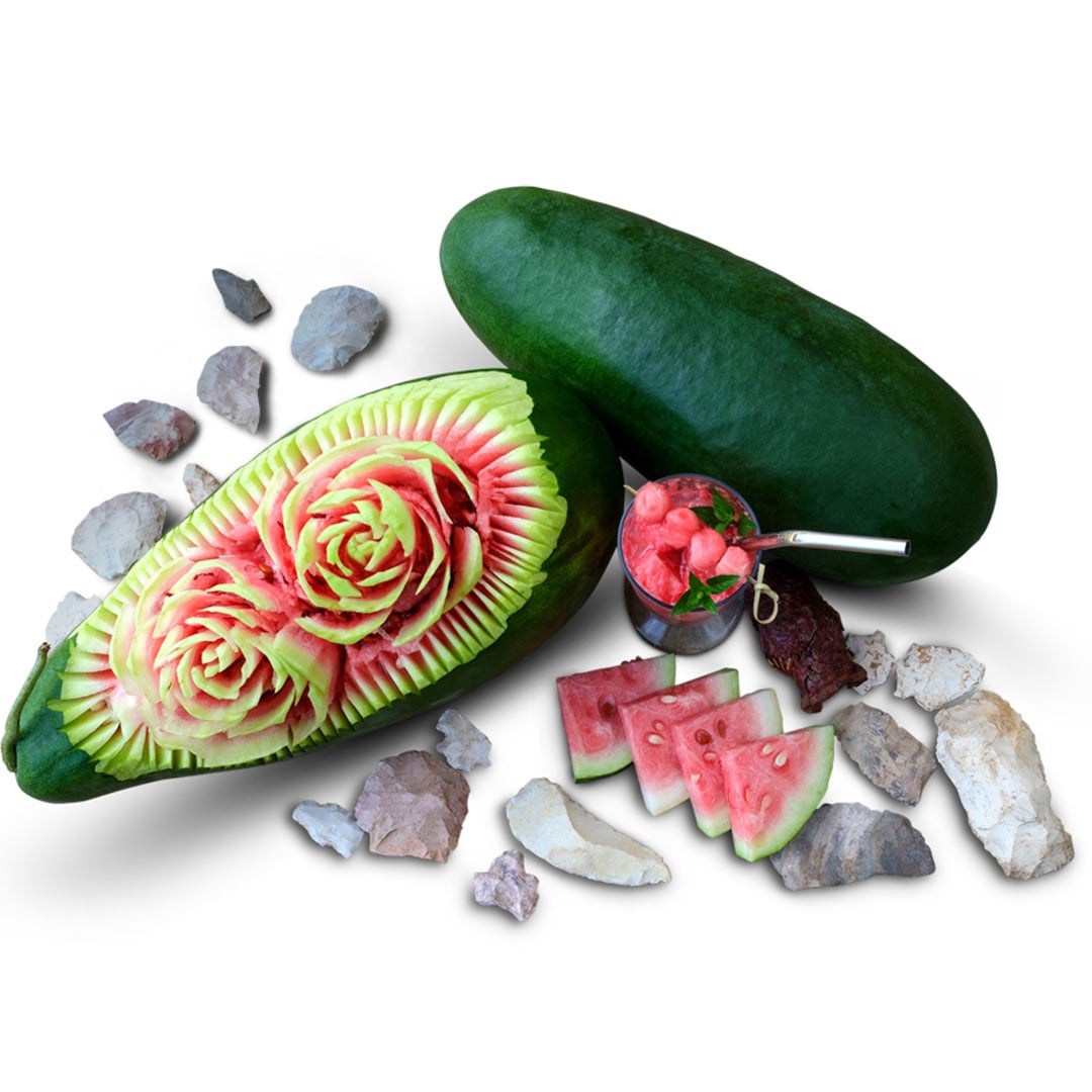 Whole Art Combe's Ancient Watermelon next to a watermelon with an intricate rose carving and some sliced watermelon and stones for decoration on a white background.