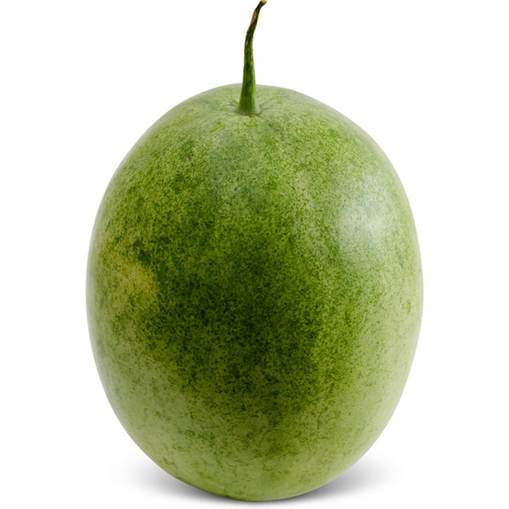 Single Botswana Ice Cream Watermelon with white background.
