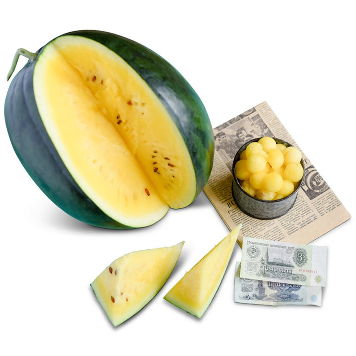 Janosik Watermelon with slices and melon balls on a white background.