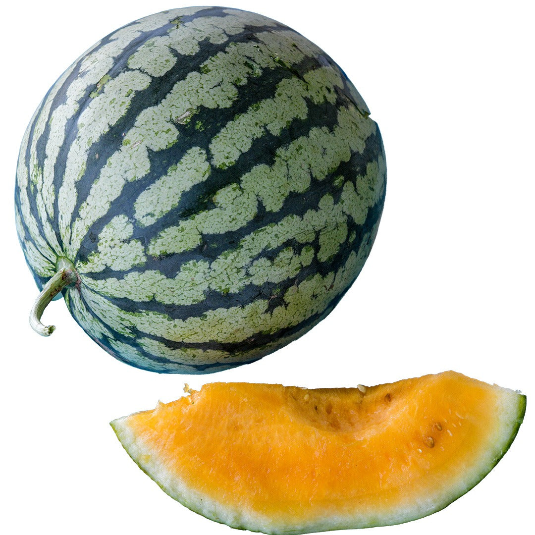 Single Leelanau Sweetglo Watermelon with quartered slice on a white background.