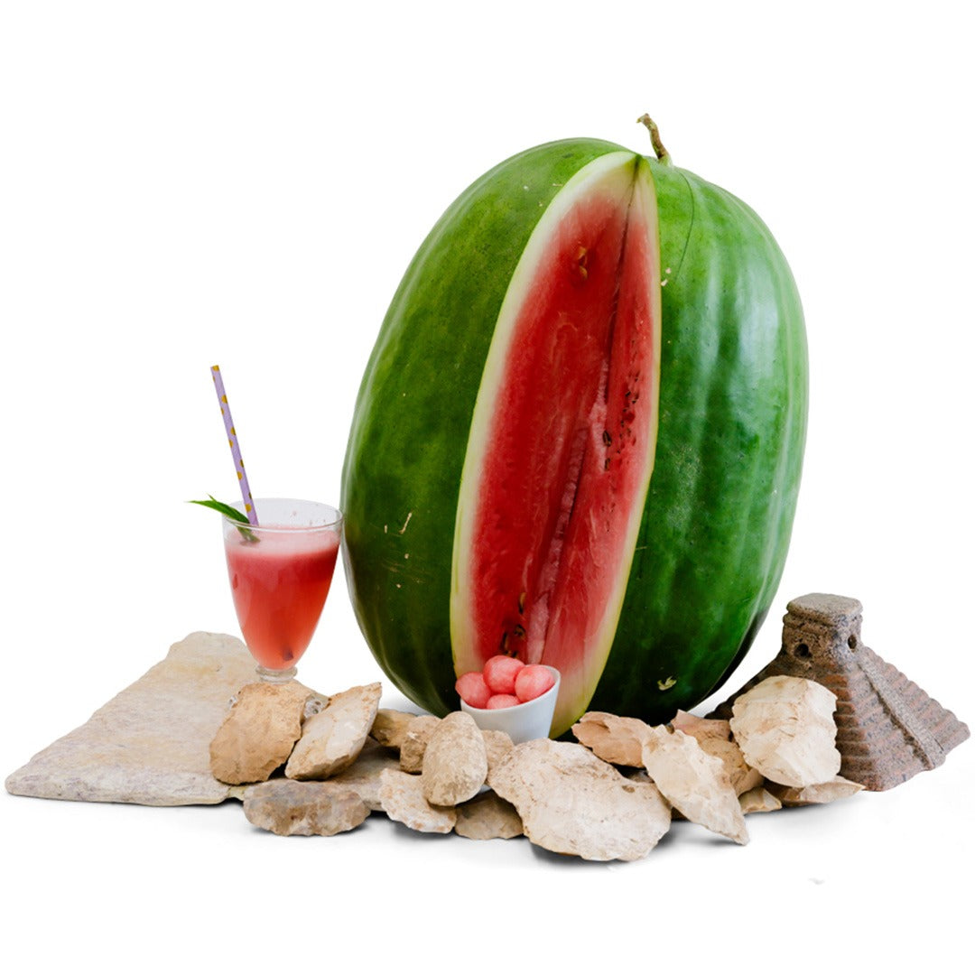 A whole Stone Mountain Watermelon surrounded by rocks, melon balls and watermelon juice.