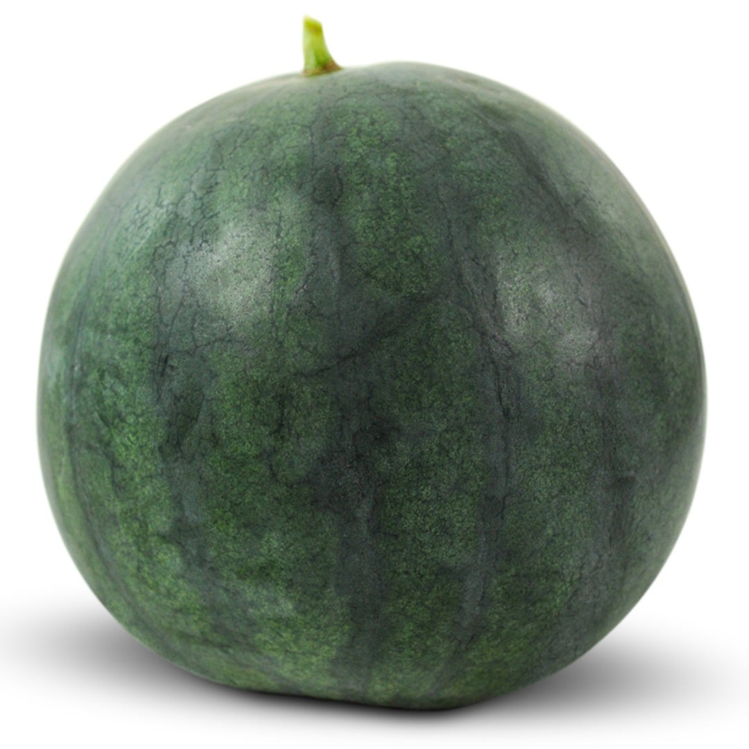 Single Sugar Baby Bush Watermelon on a white background.