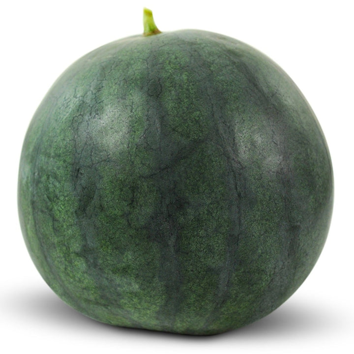 Single Sugar Baby Bush Watermelon on a white background.