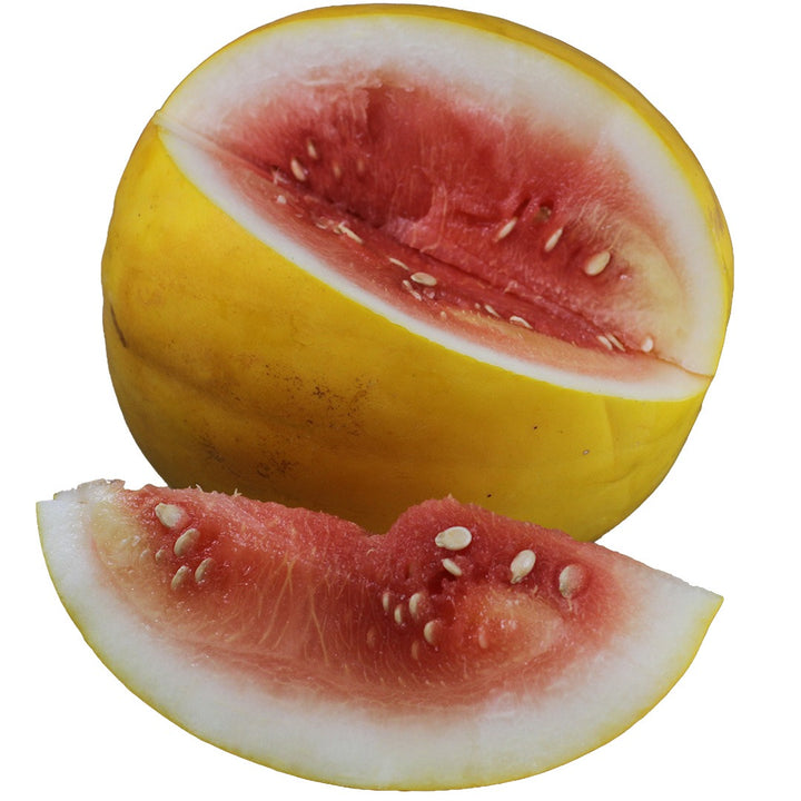 Royal Golden Watermelon on a white background.