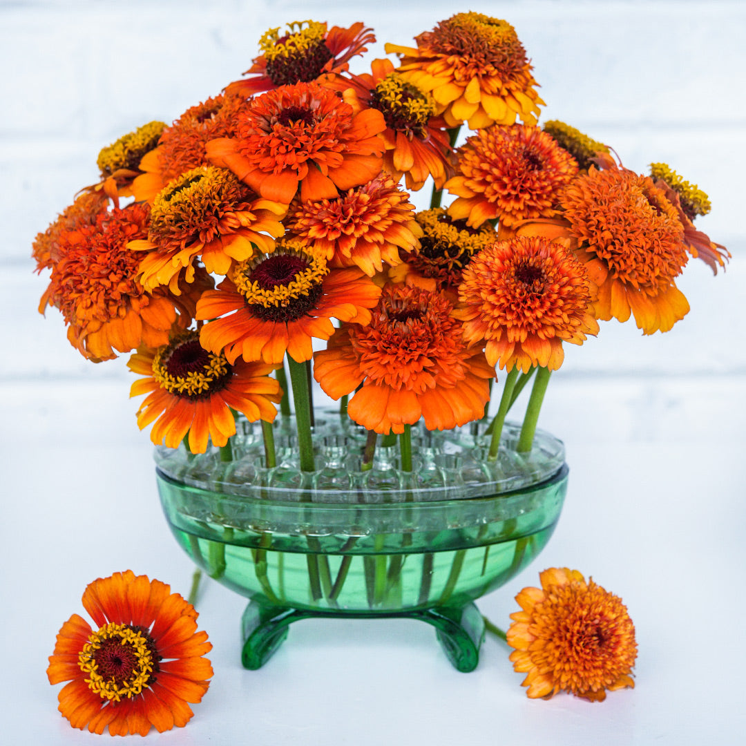 A floral arrangement of the Zinderella Zest Zinnia Mix on a high key background.