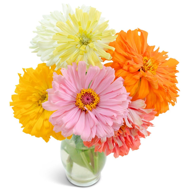 An arrangement of Takii&