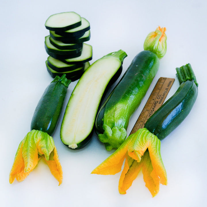 Inizia Summer Squash with blooms and slices on a light background with a ruler.