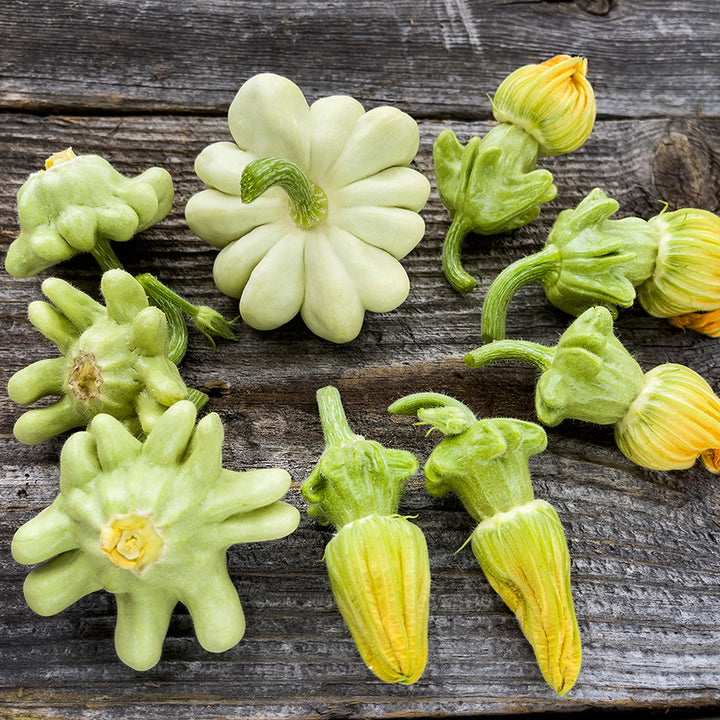 Pineapple Summer Squash arranged on weathered wood background. Image by Lucy Hutchins.