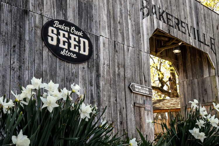 Baker Creek Seed Store at the Ozark-style village in Mansfield, MO