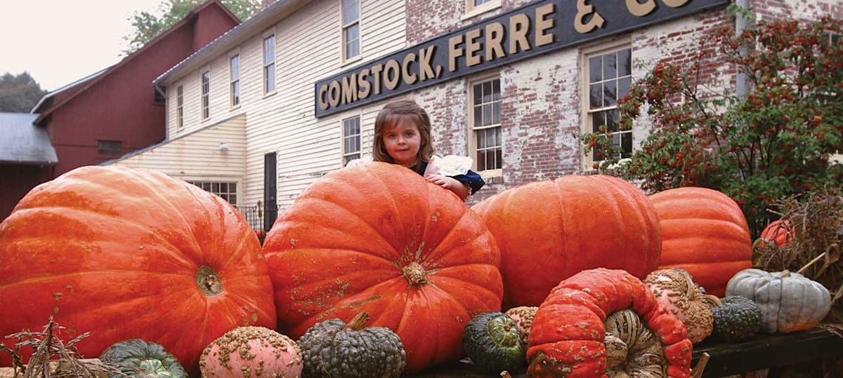 Historic Comstock, Ferre & Co. buildings in Wethersfield, Connecticut