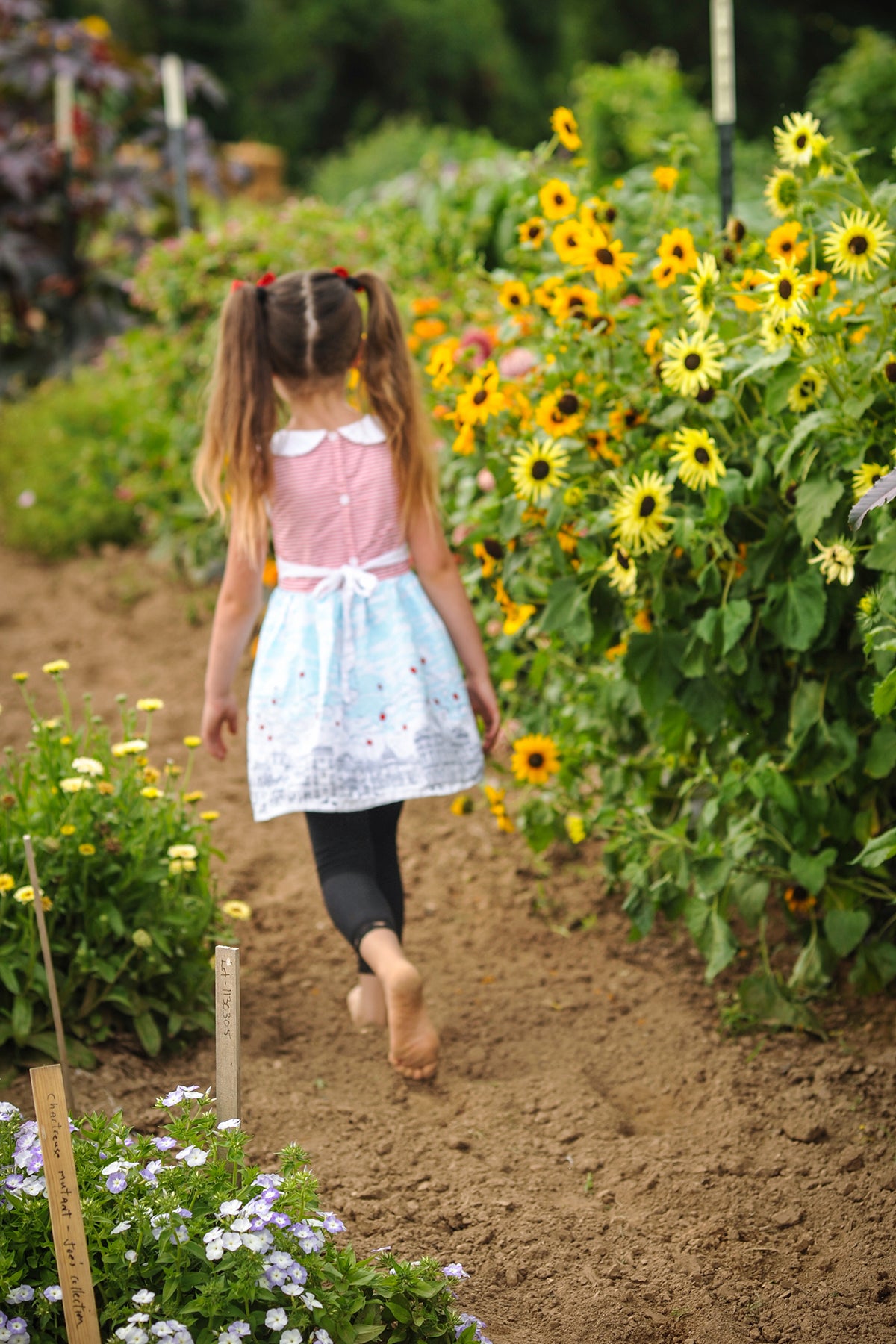 A child smelling a sunflower in a field of blooms