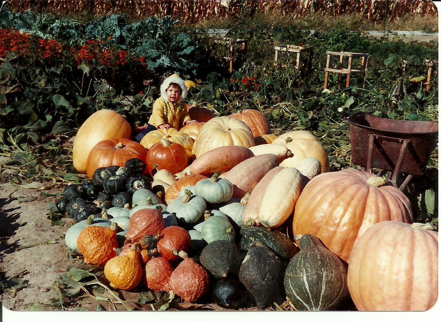 A toddler in a yellow coat sitting among a harvest of pumpkins and squash