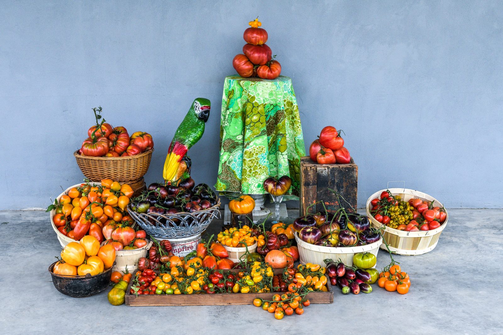 Baskets of heirloom tomatoes in every colour arranged against a grey wall