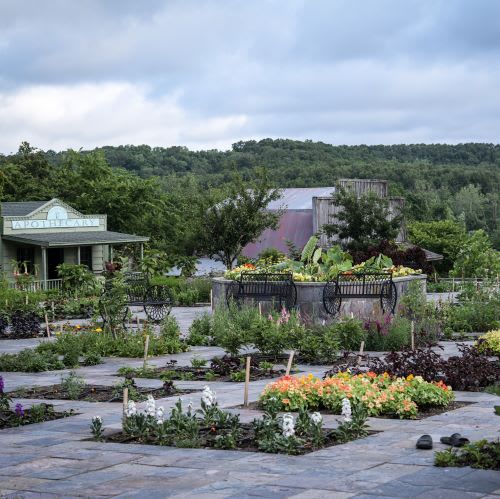 The Tile Garden in the Village Square with the Apothecary in the background