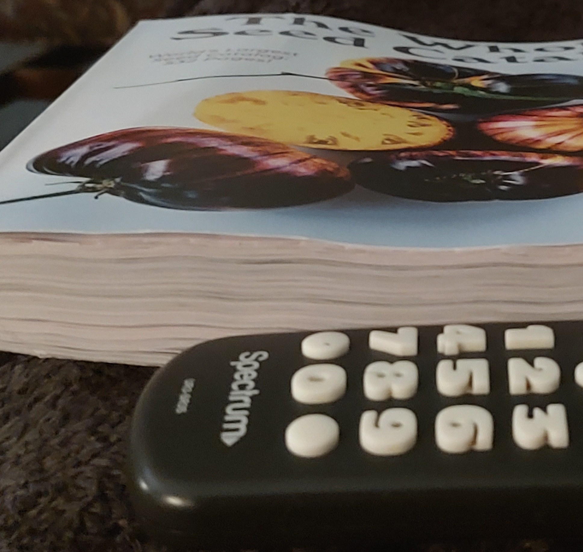 2024 The Whole Seed Catalog