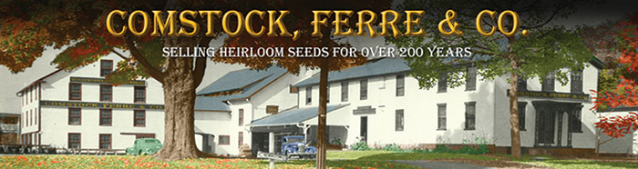 Comstock-Logo