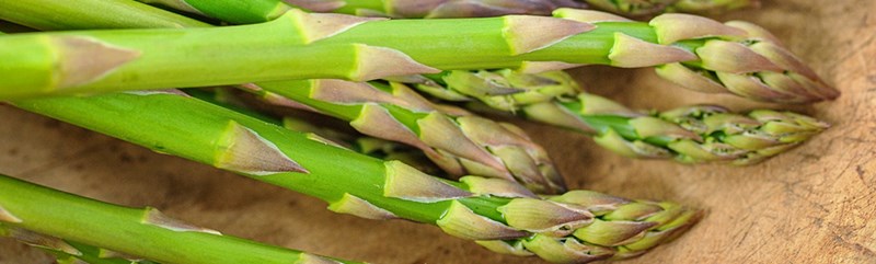 Asparagus-LSS-000_0690