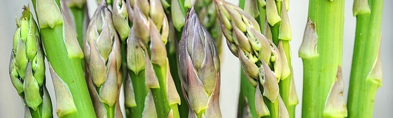 Asparagus-LSS-000_0706