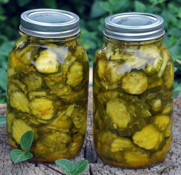 Bread_and_Butter_Pickles