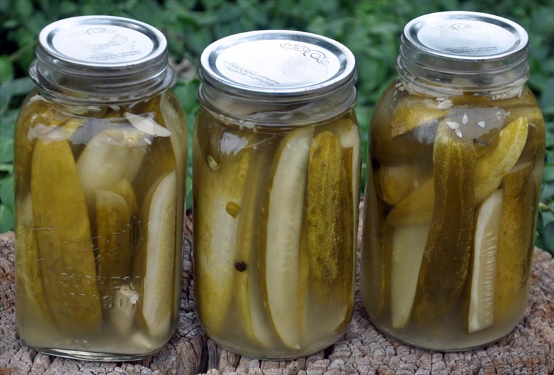 Dill_Pickles