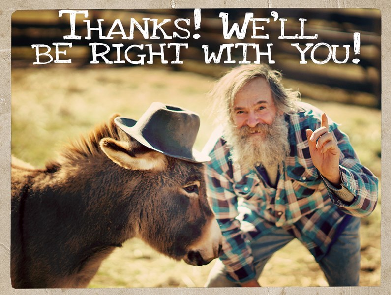 Donkey-Dave-Ibite-Hat-DSC00420