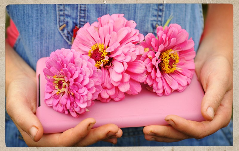 Zinnia-Illumination-FL808-and-Deb-LSS-000_8136