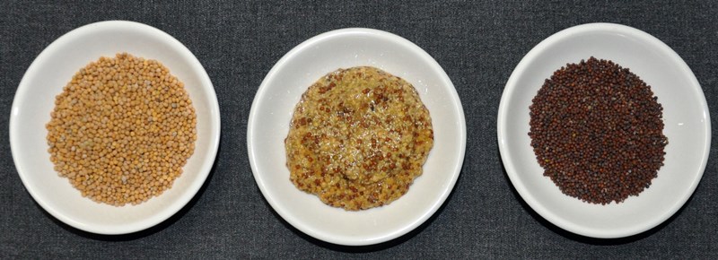 dijonwholegrain