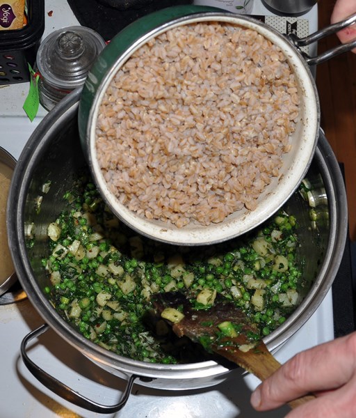 farrosoup1