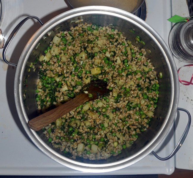 farrosoup3