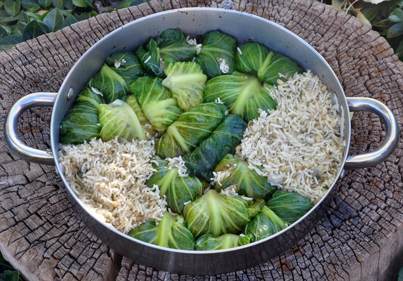 lettucerolls