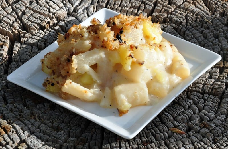salsify-gratin