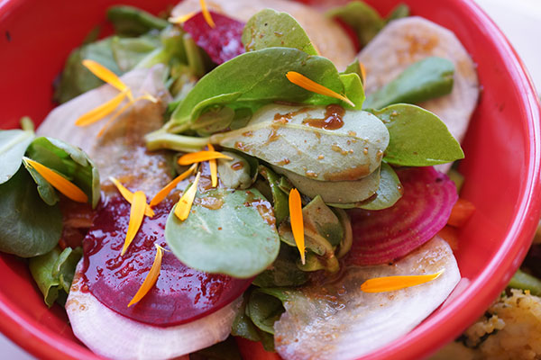 Purslane-shot