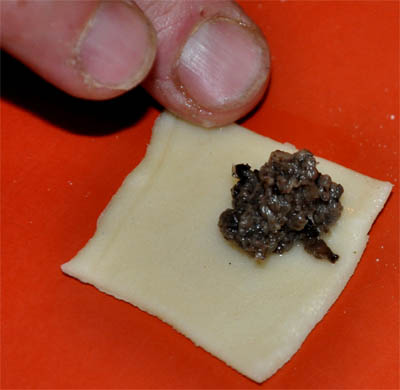 post3_ushki_folding_2