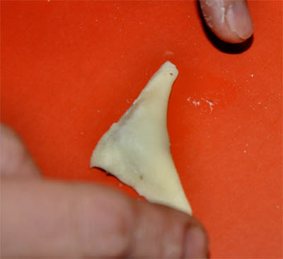 post3_ushki_folding_3