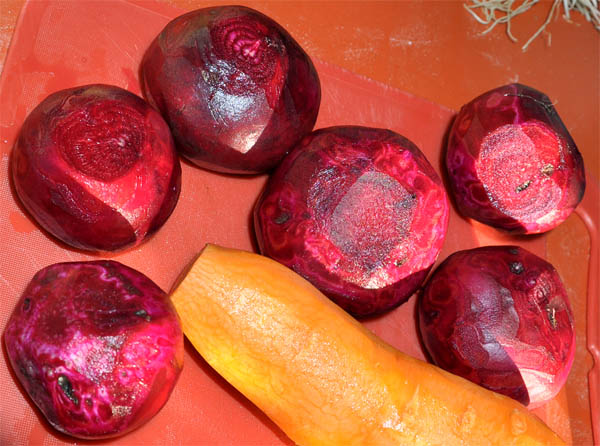 post4_beets