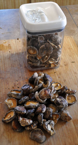 shitake