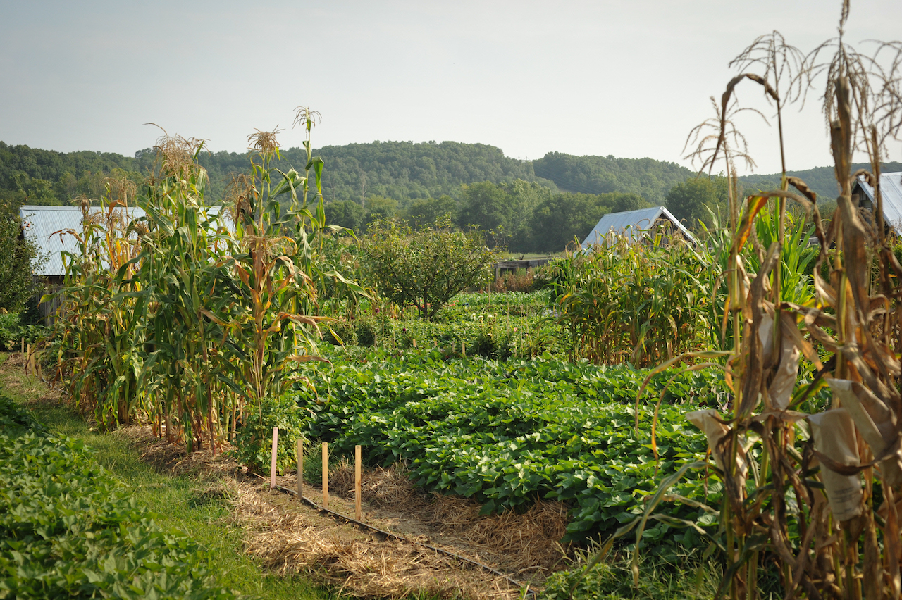 Scenic restaurant garden