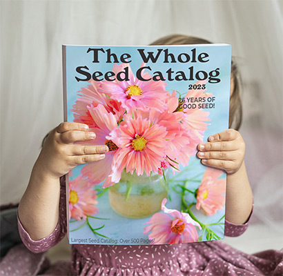 Books and Catalogs