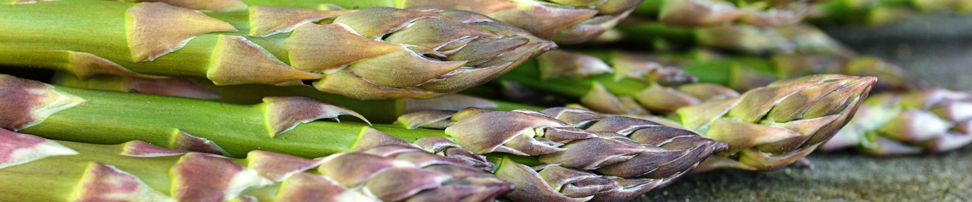 Asparagus