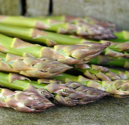 Asparagus Seeds | Baker Creek Heirloom Seeds