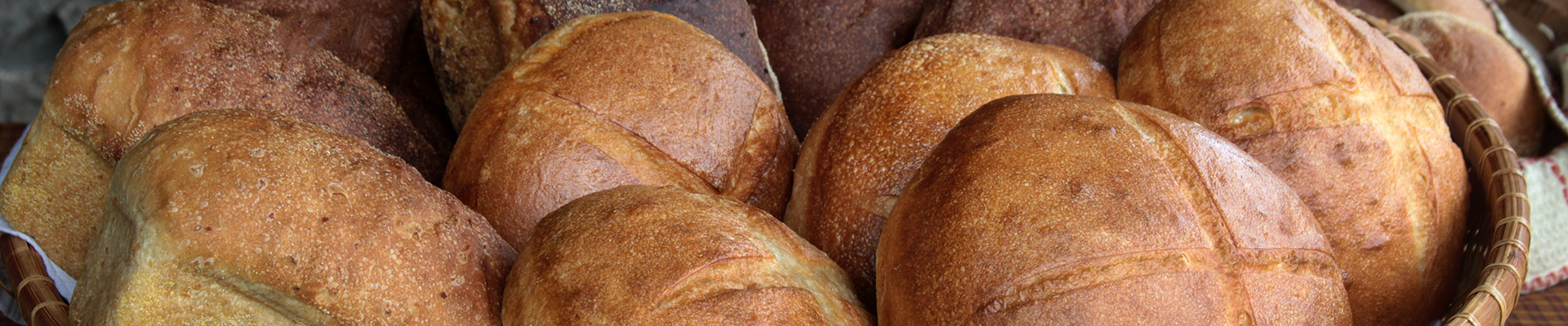 Sourdough Starter