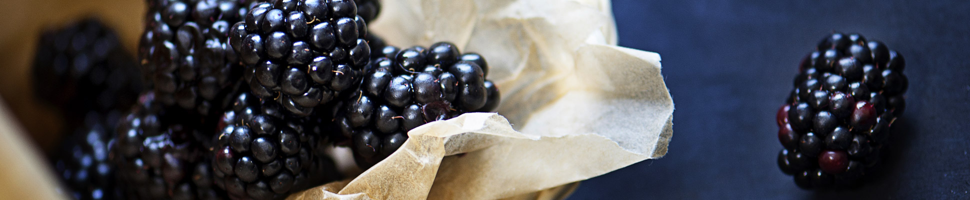 Boysenberry plants
