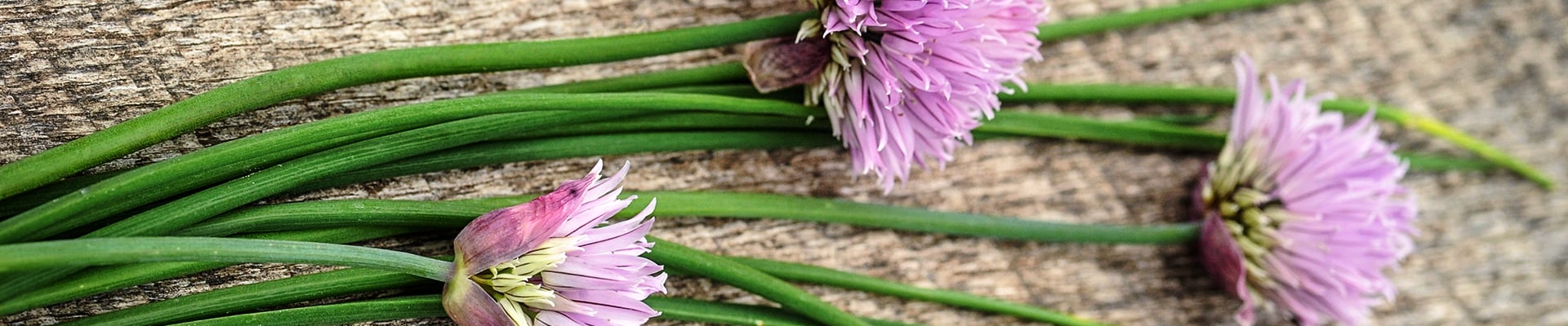 Chives