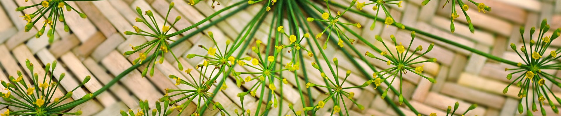 Cumin