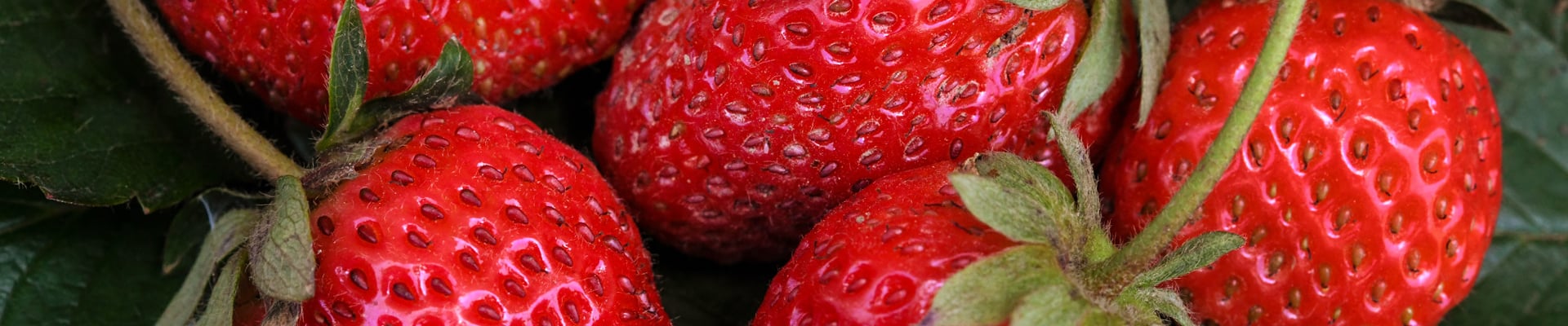 Strawberries