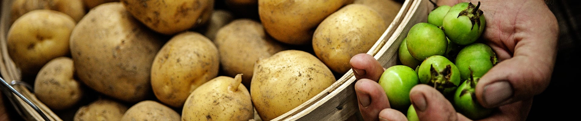 Potatoes Potatoes