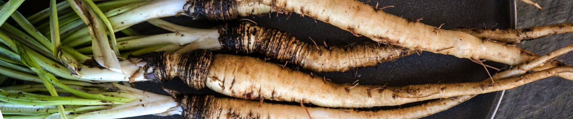 Salsify