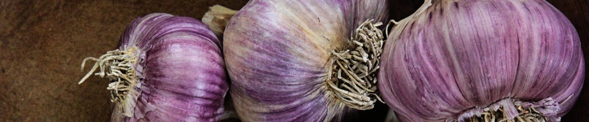 Garlic and Onion Bulbs Garlic and Onion Bulbs