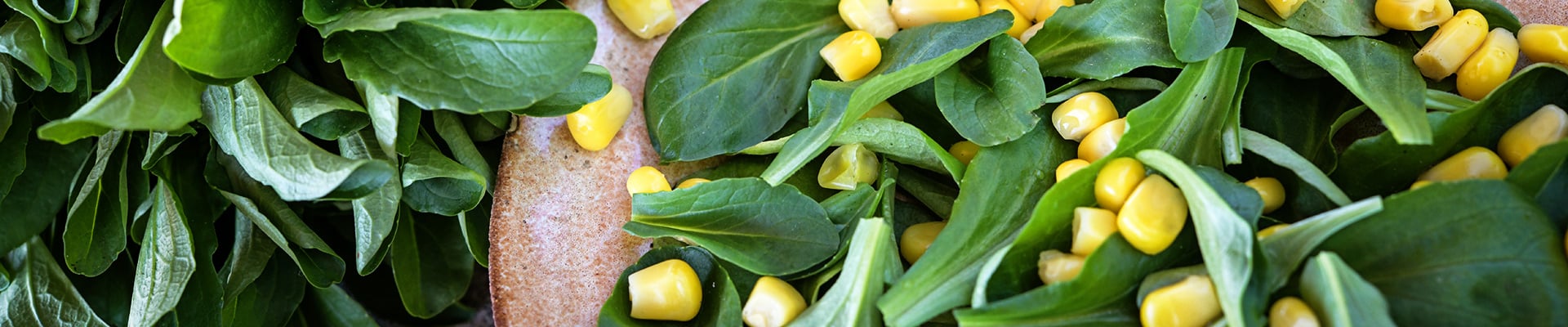 Corn Salad